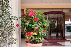VH Group | Abano Terme